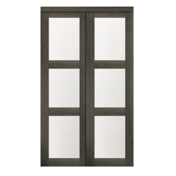 Renin Renin 48 in. x 80 1/2 in. Euro 3-Lite Bypass Door EU2460IAFGE048080 - main